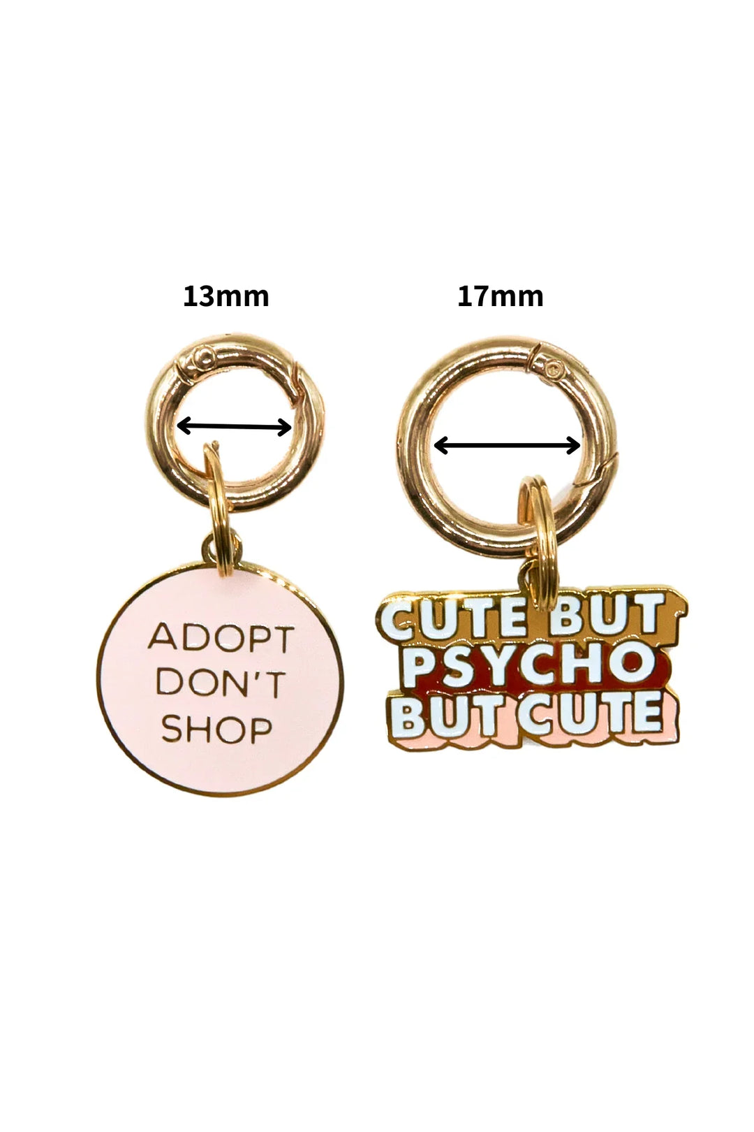 RAINBOW [Pet Tag / Keychain]