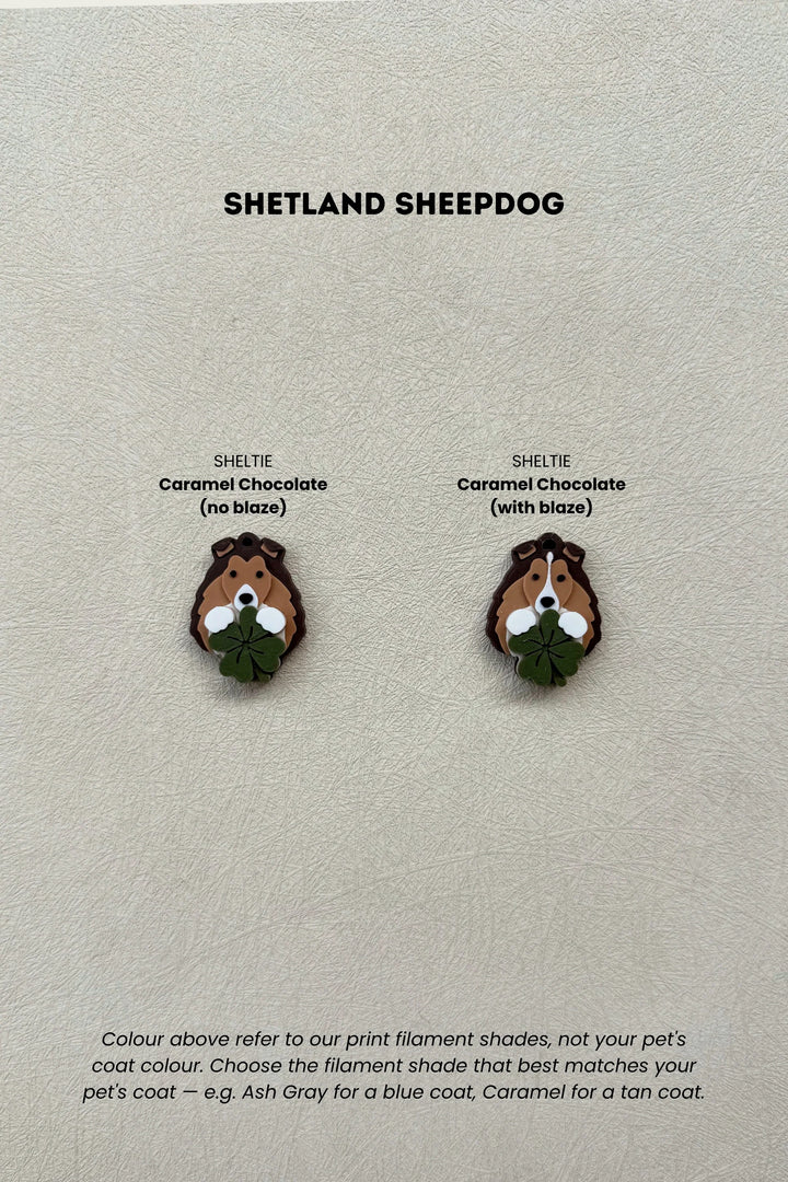 LUCKY CHARM Shetland Sheepdog