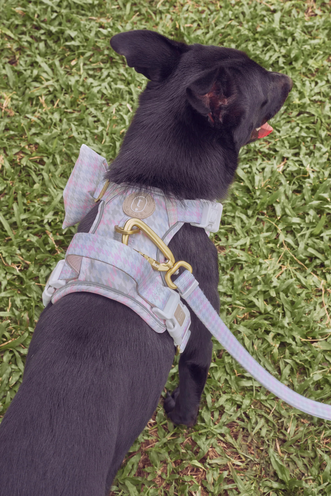EVERYDAY HARNESS Pastel Houndstooth