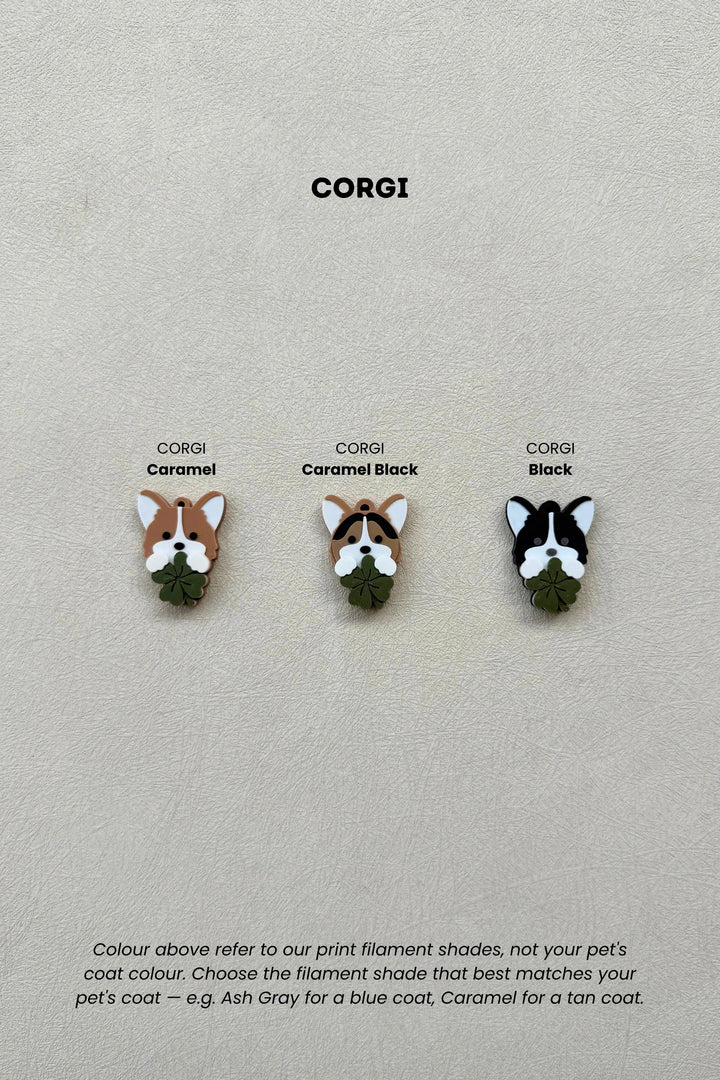 LUCKY CHARM Corgi