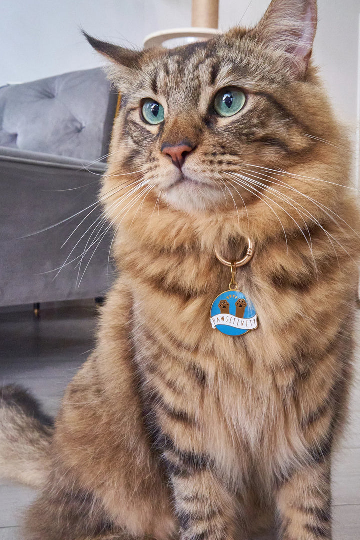 RAINBOW [Pet Tag / Keychain]