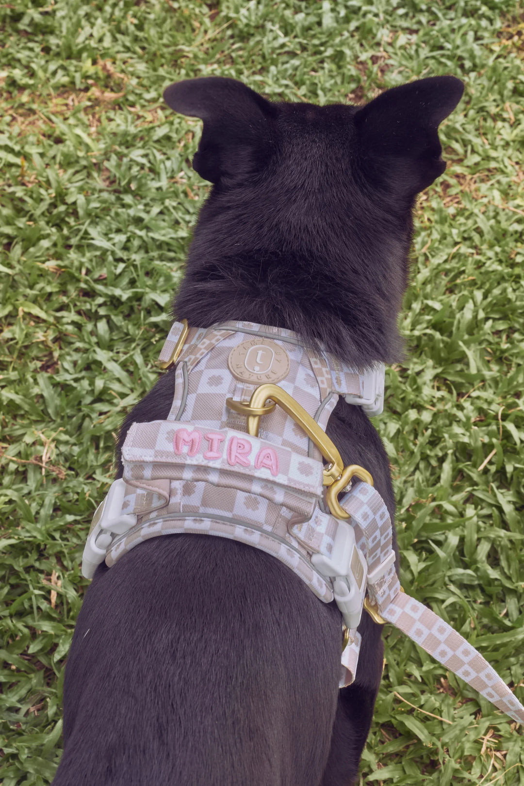 EVERYDAY HARNESS Oatmeal Signature Motif