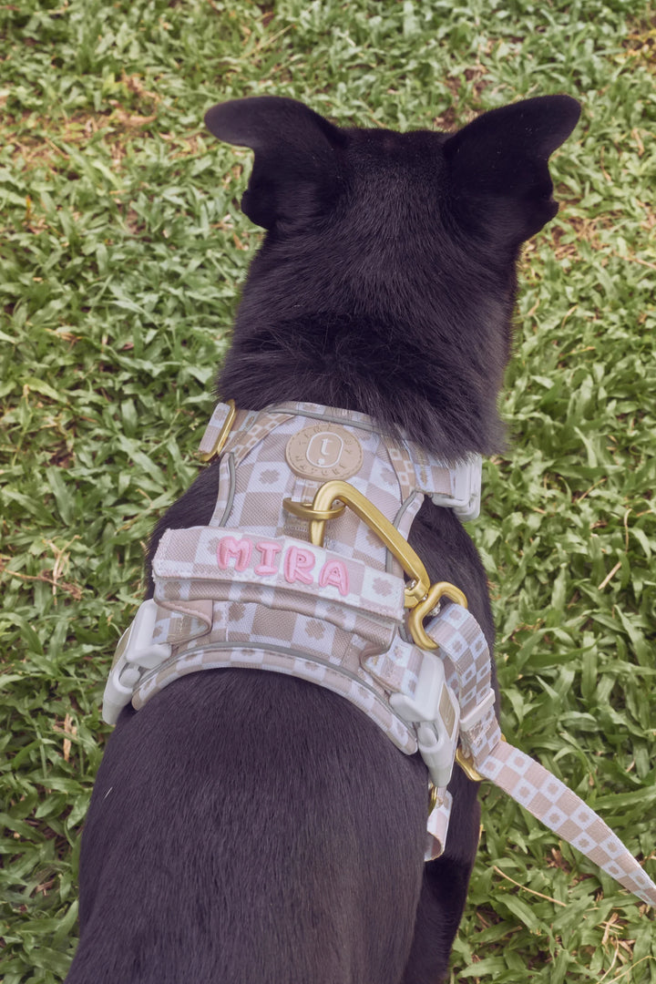 EVERYDAY HARNESS Oatmeal Signature Motif