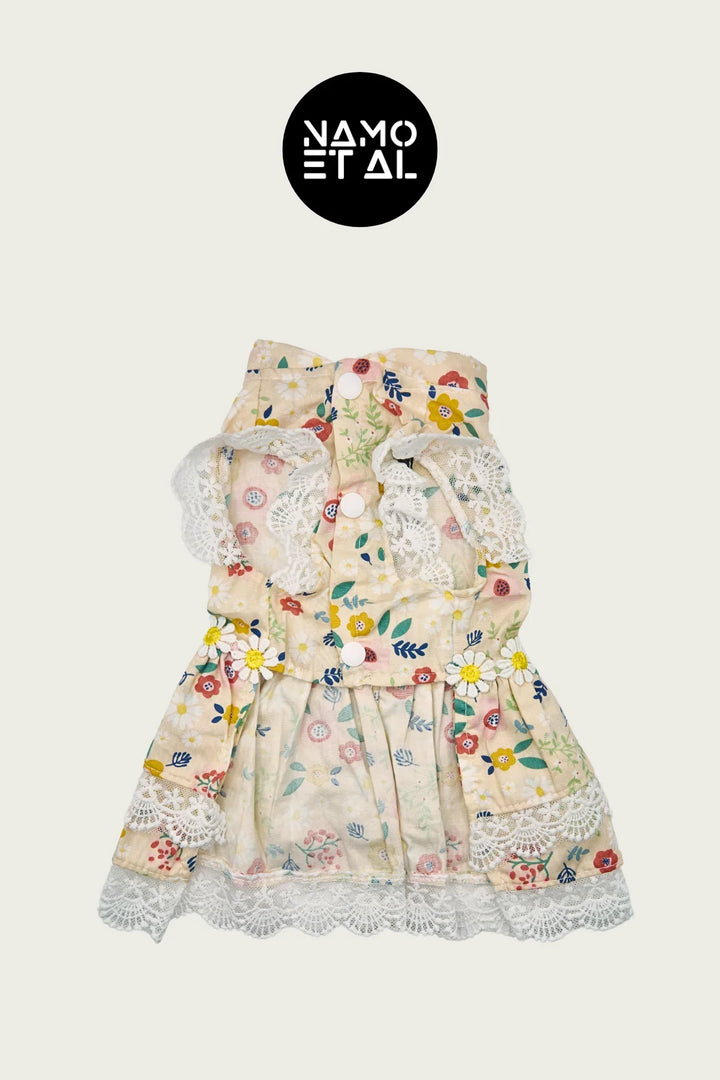 BELLA FLORA LACE DRESS Cream
