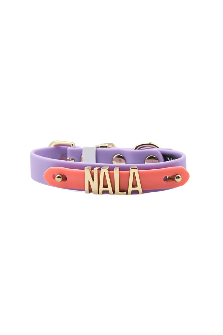 WATERPROOF COLLAR Lilac / Coral