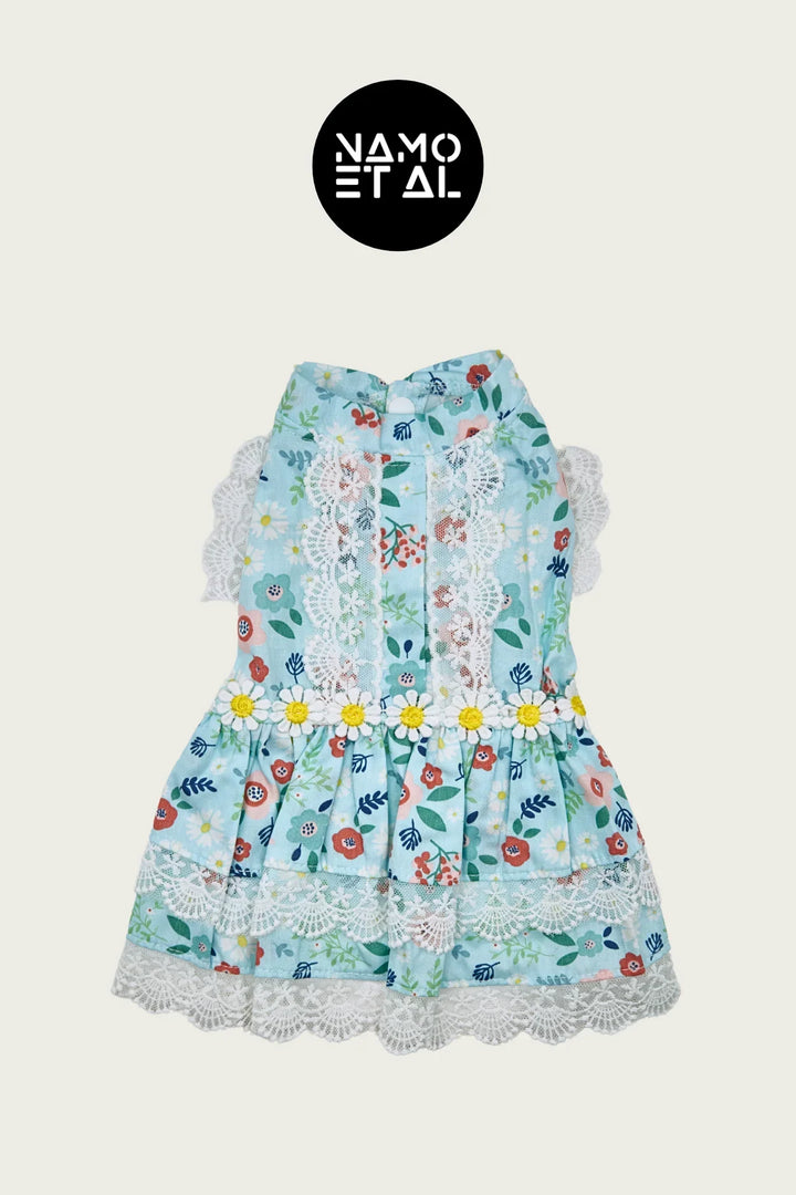 BELLA FLORA LACE DRESS Turquoise