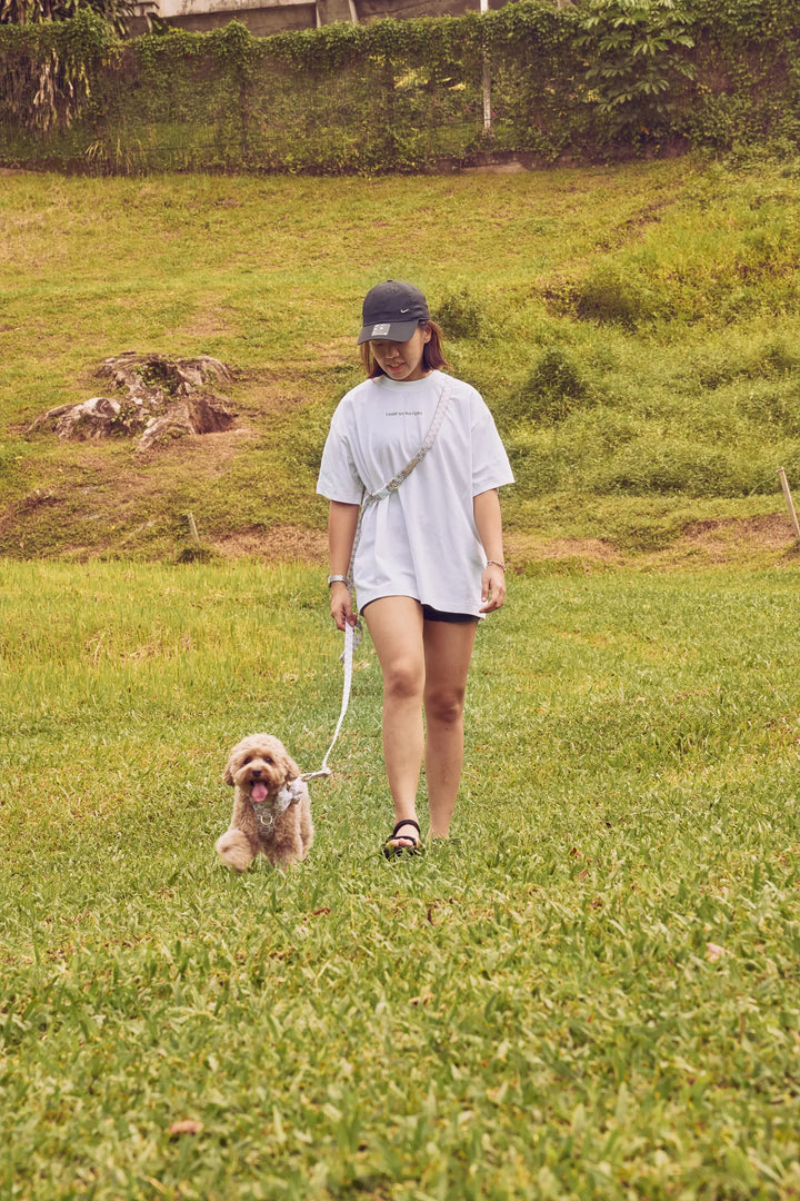 EVERYDAY LEASH Twilight Japanese Waves
