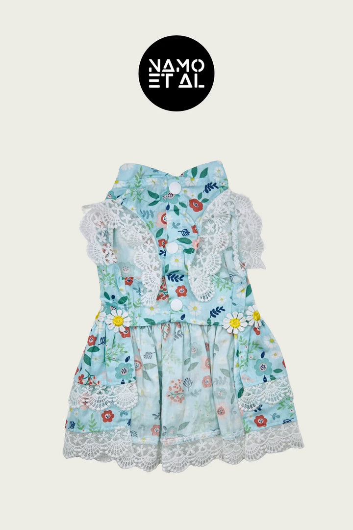BELLA FLORA LACE DRESS Turquoise