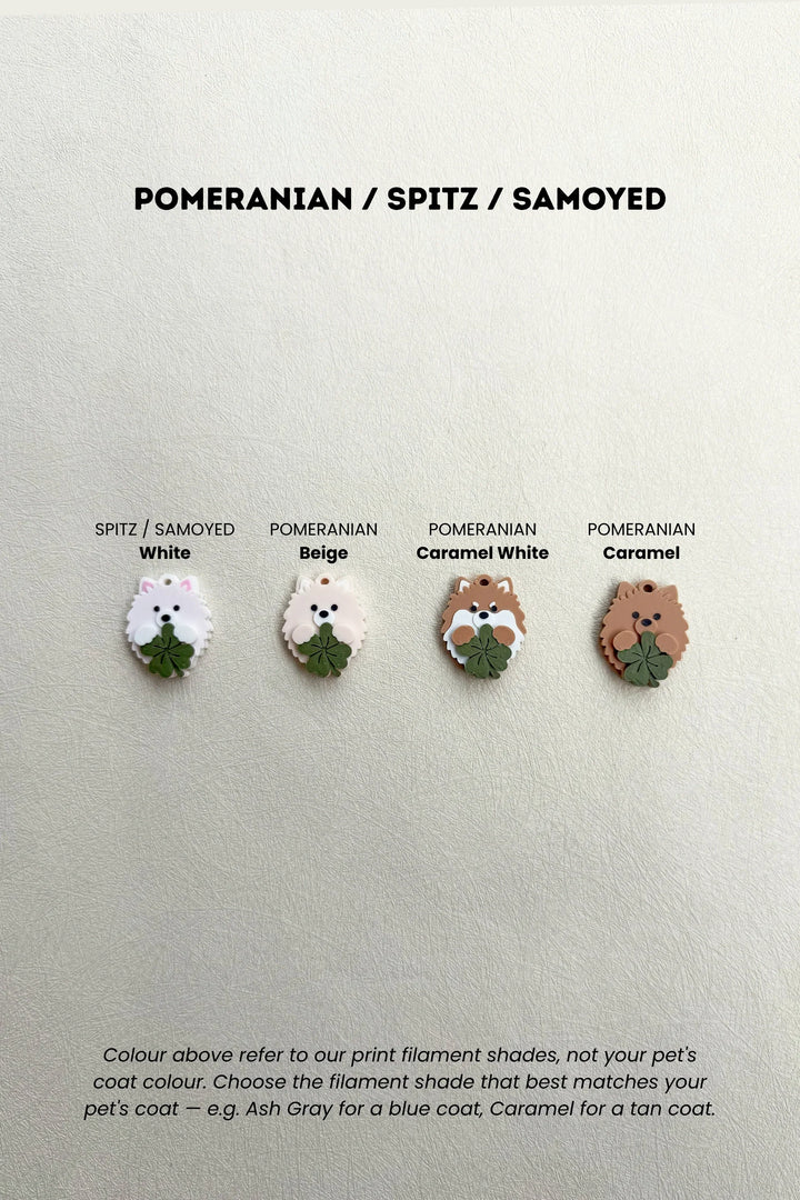 LUCKY CHARM Pomeranian / Spitz / Samoyed