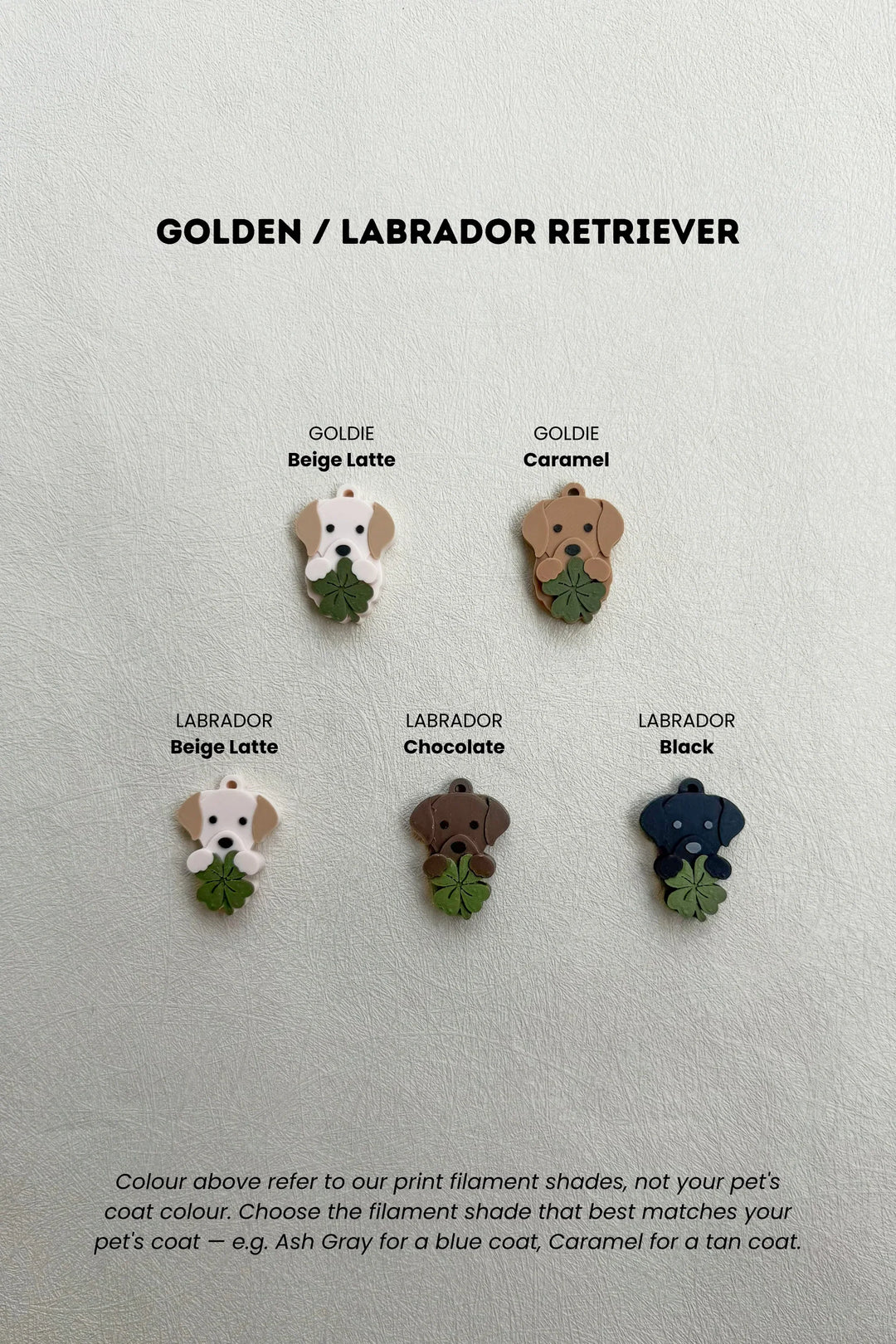 LUCKY CHARM Golden / Labrador Retriever
