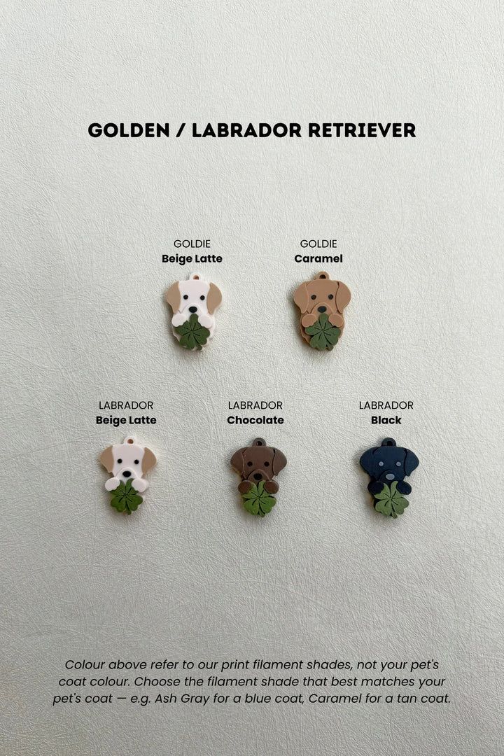 LUCKY CHARM Golden / Labrador Retriever