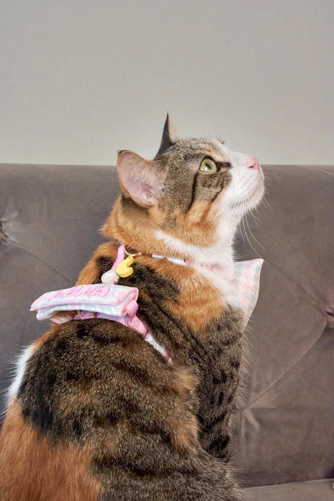 AIR HARNESS Rose