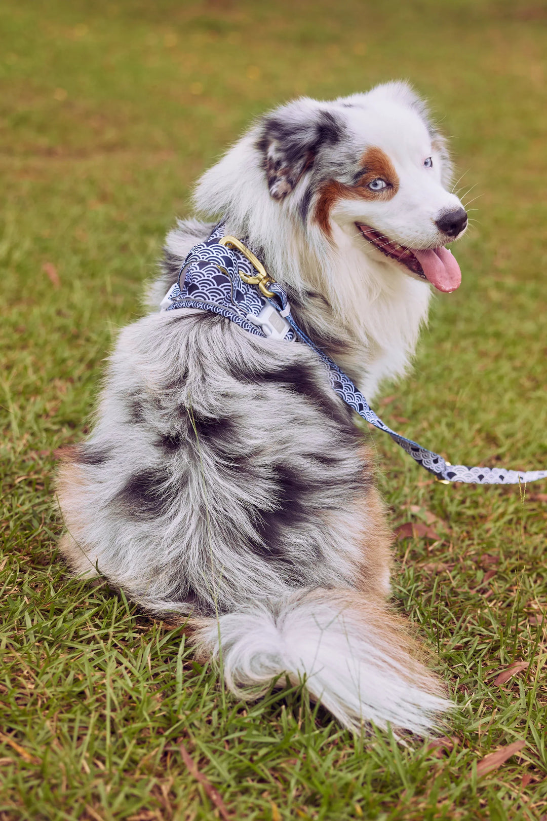 EVERYDAY HARNESS Twilight Japanese Waves