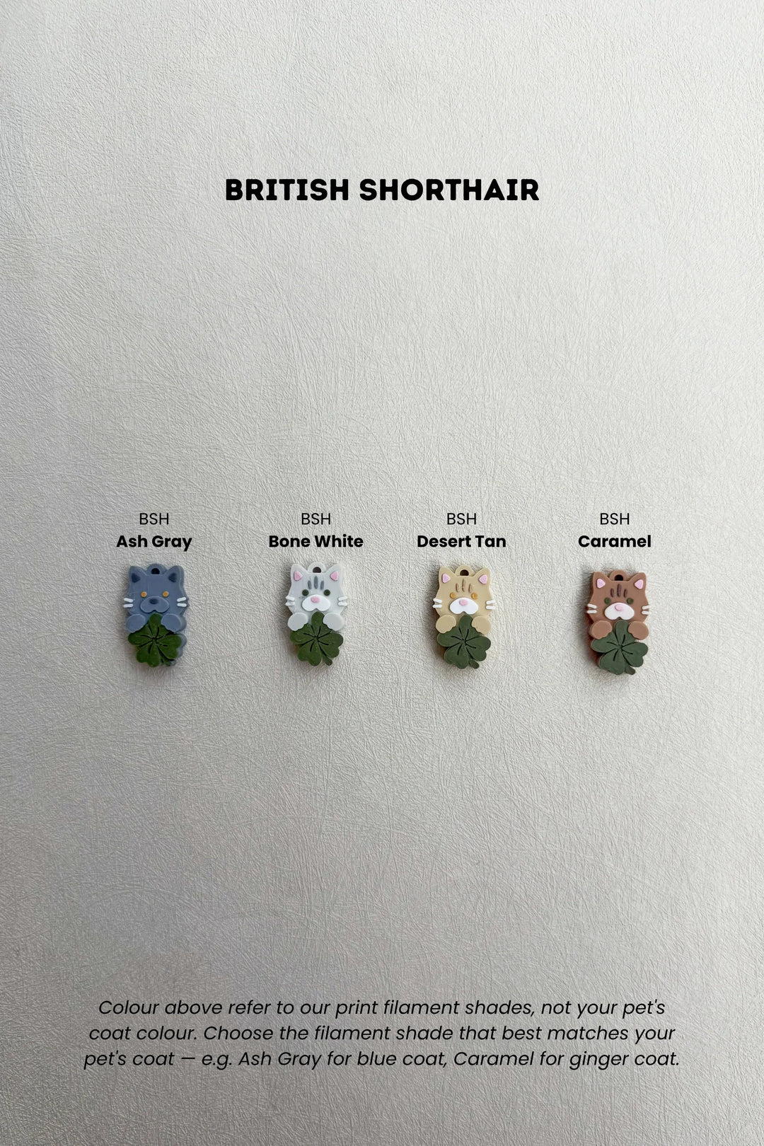 LUCKY CHARM British Shorthair