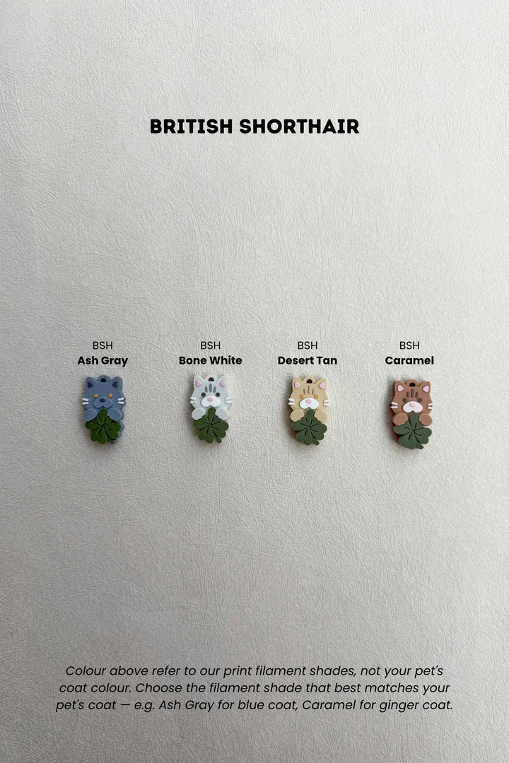 LUCKY CHARM British Shorthair