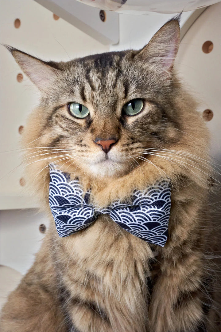 PLUSH BOW Oatmeal Signature Motif
