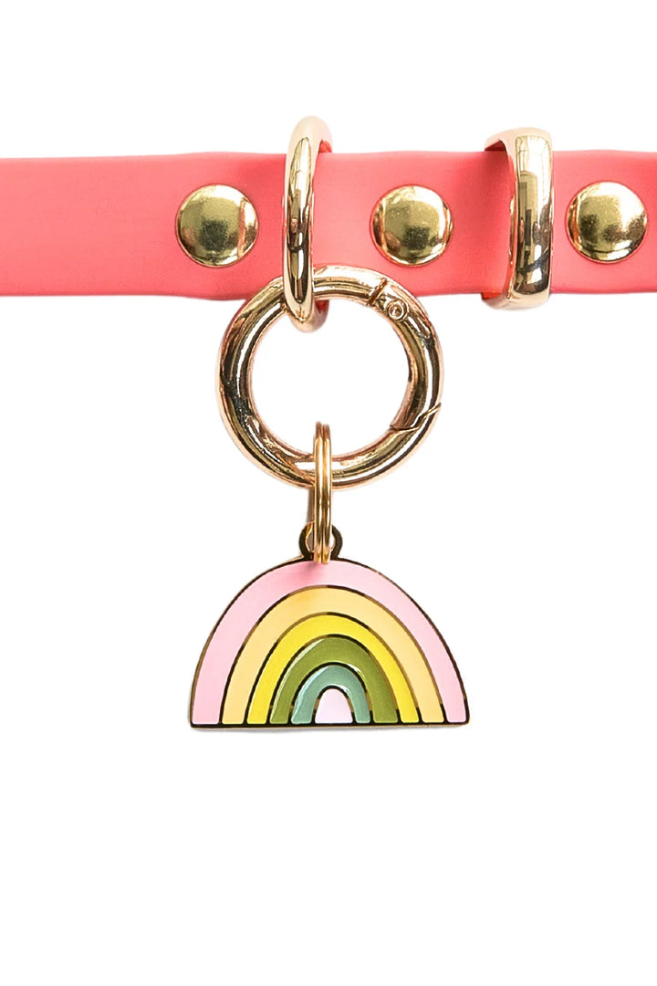 RAINBOW [Pet Tag / Keychain]