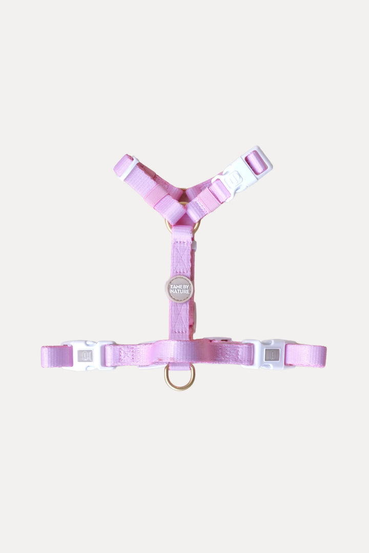 AIR HARNESS Rose
