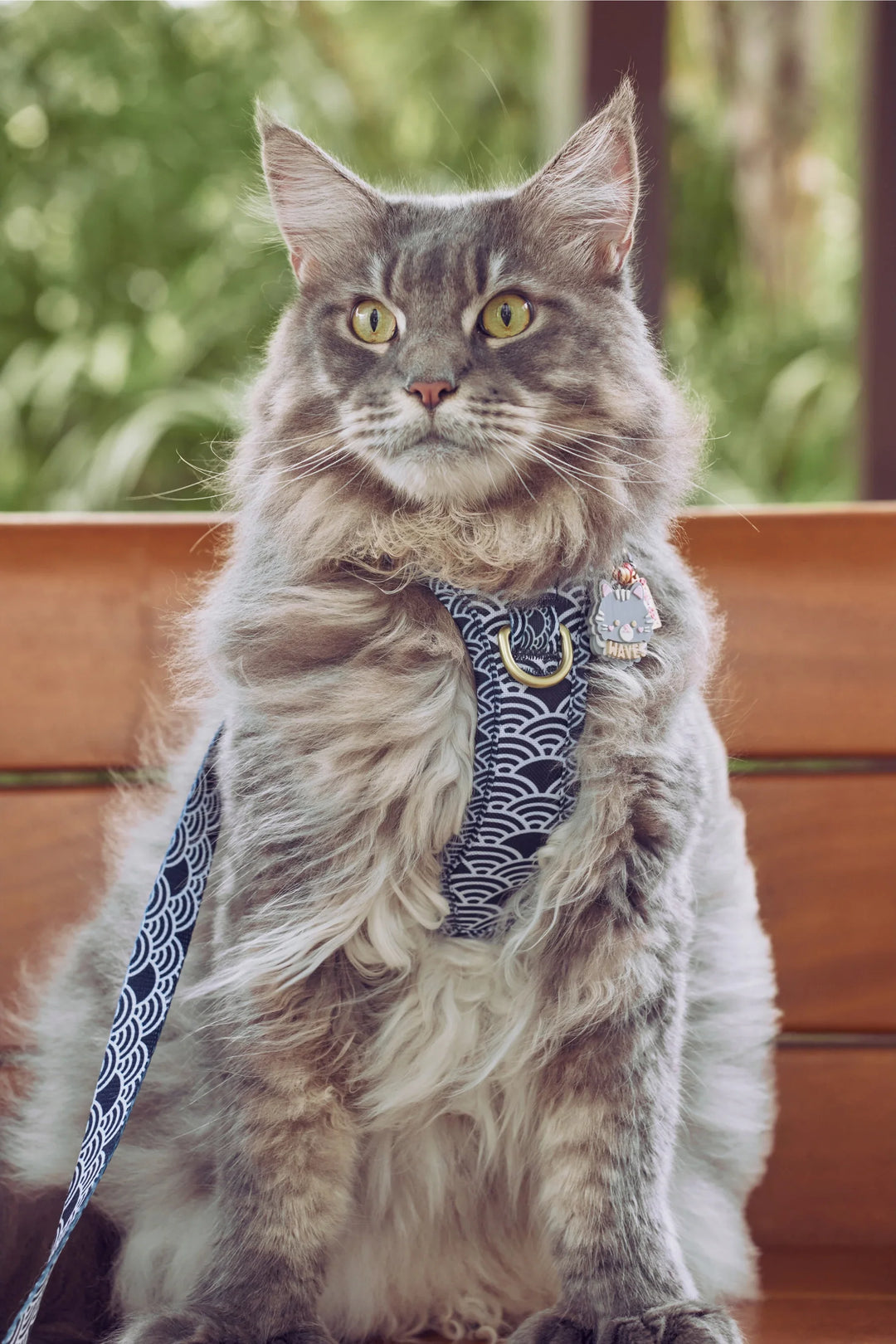 EVERYDAY HARNESS Twilight Japanese Waves