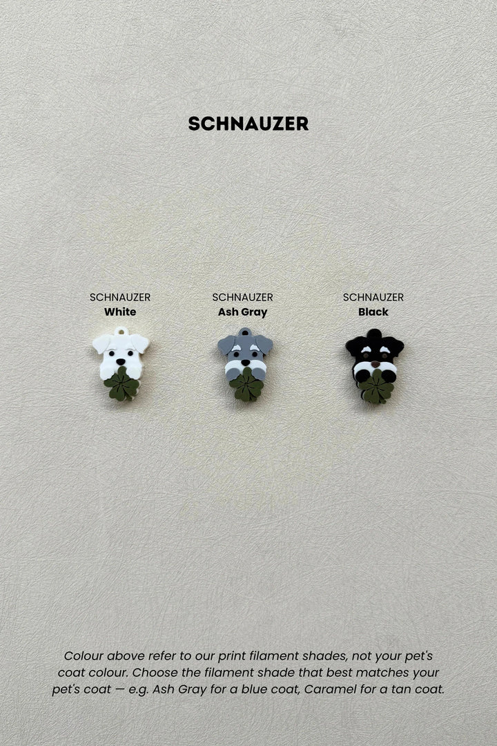 LUCKY CHARM Schnauzer