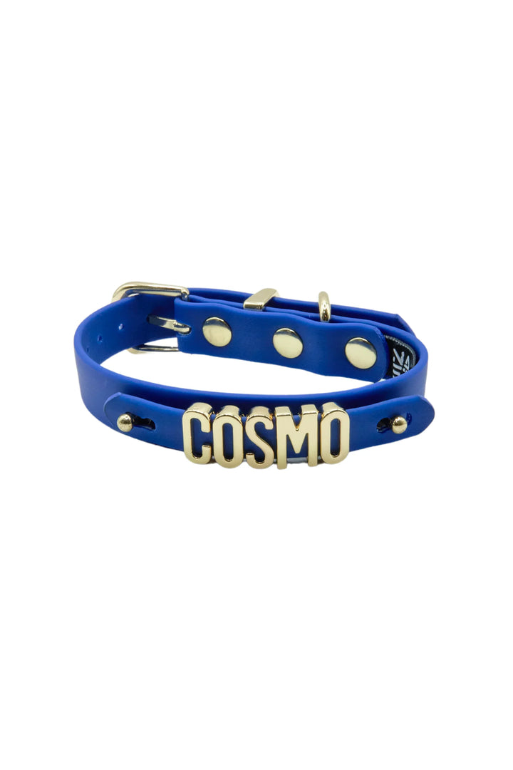 WATERPROOF COLLAR Royal Blue