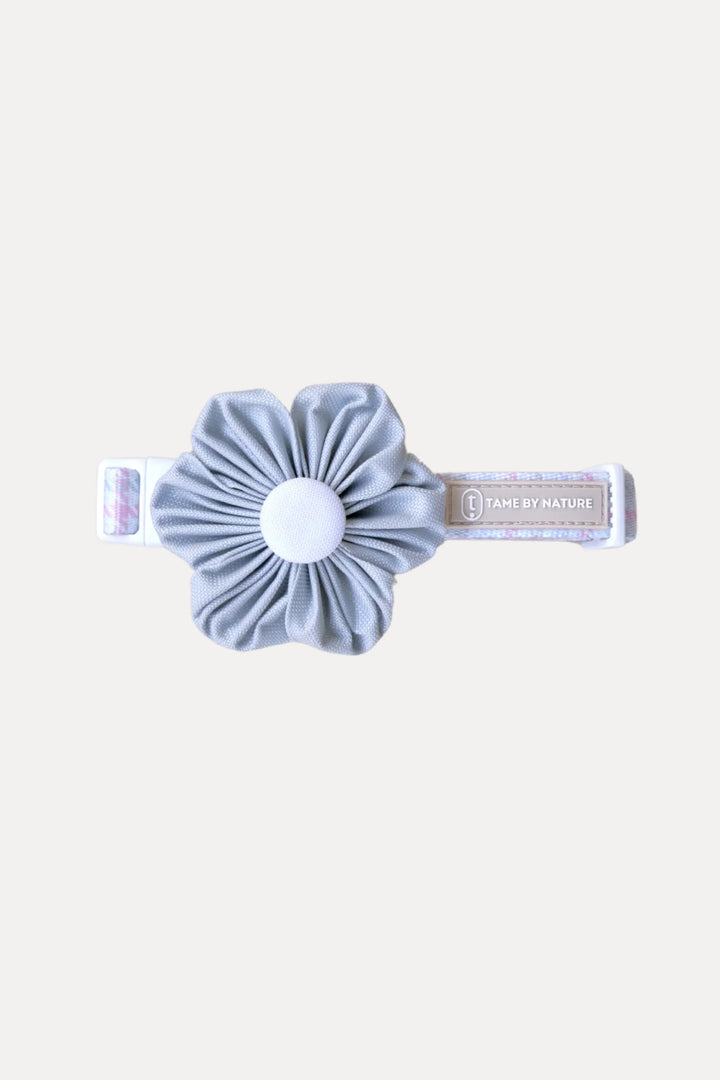 FLOWER Milky Sage
