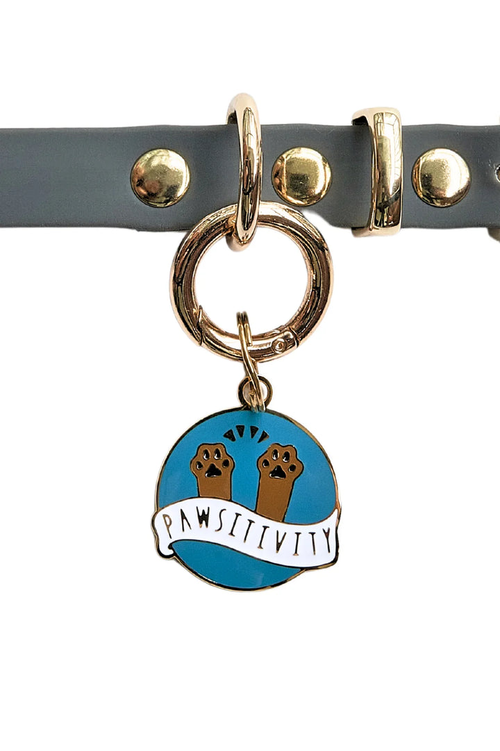PAWSITIVITY [Pet Tag / Keychain]