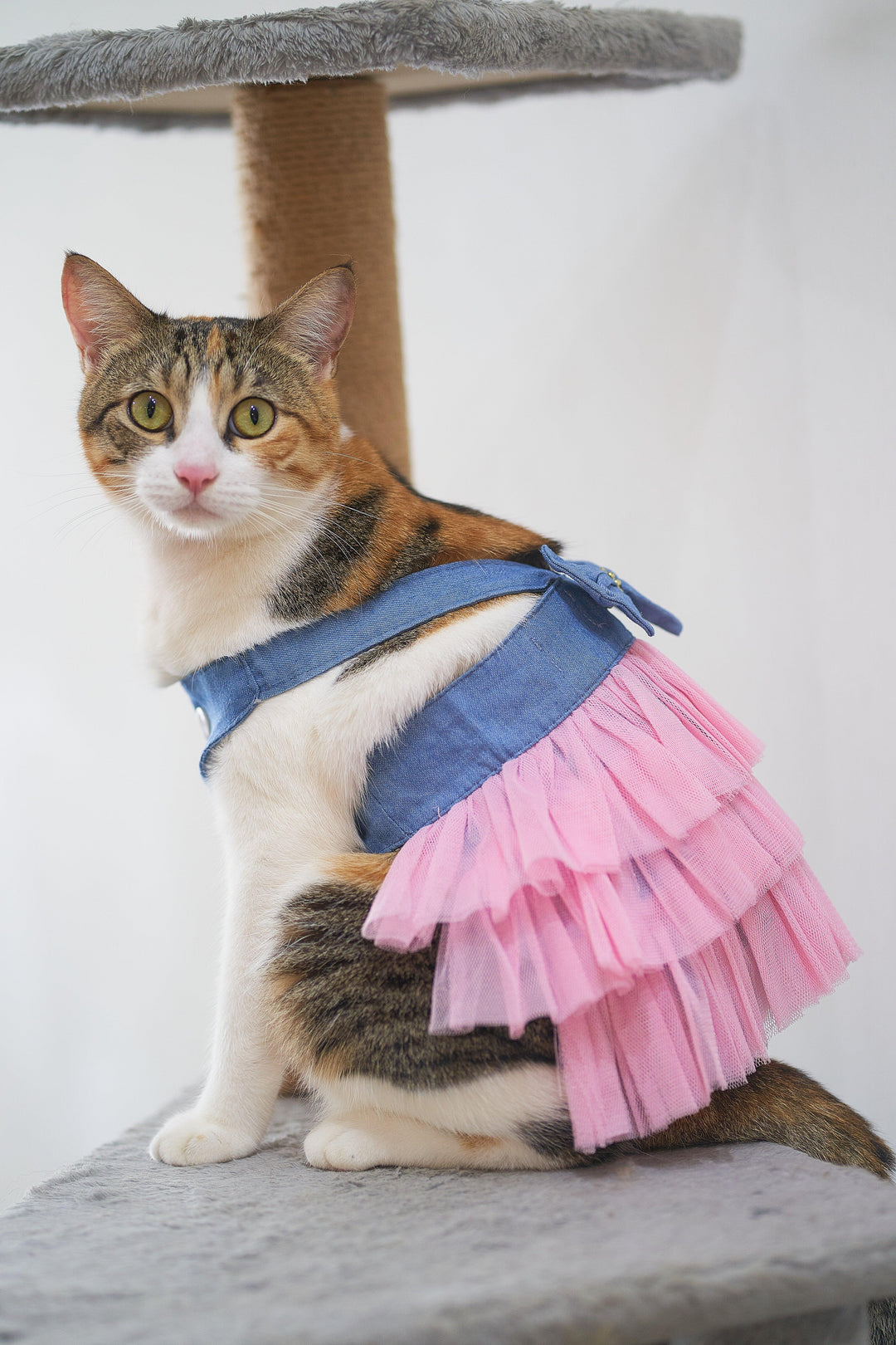 OLIVIA TULLE DRESS Pink