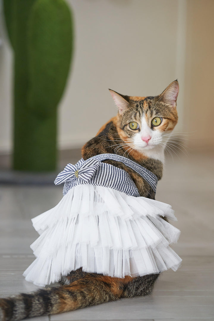 OLIVIA TULLE DRESS White