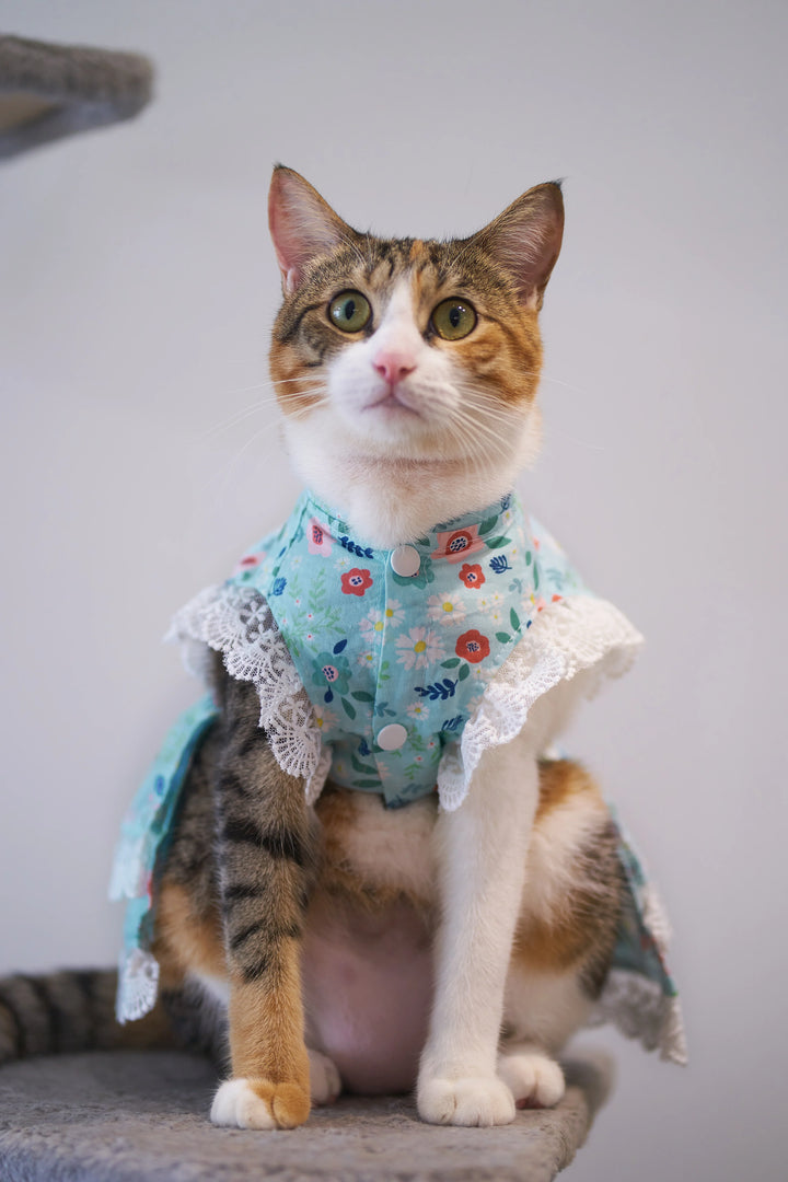 BELLA FLORA LACE DRESS Turquoise