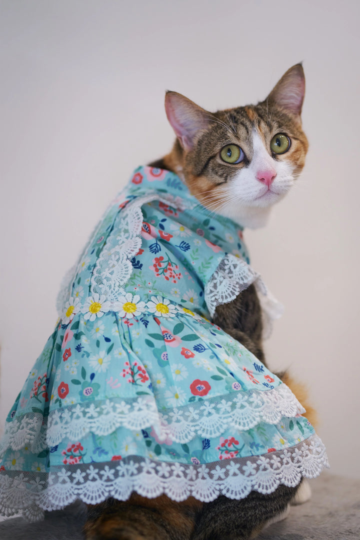 BELLA FLORA LACE DRESS Turquoise