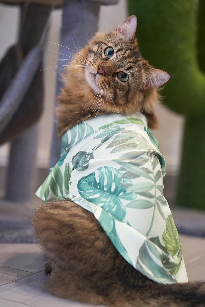 MAX HAWAII SHIRT Emerald