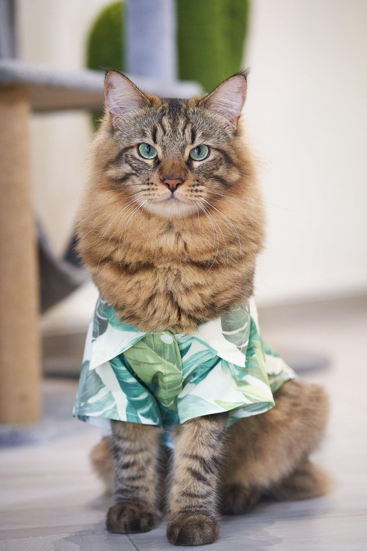 MAX HAWAII SHIRT Emerald