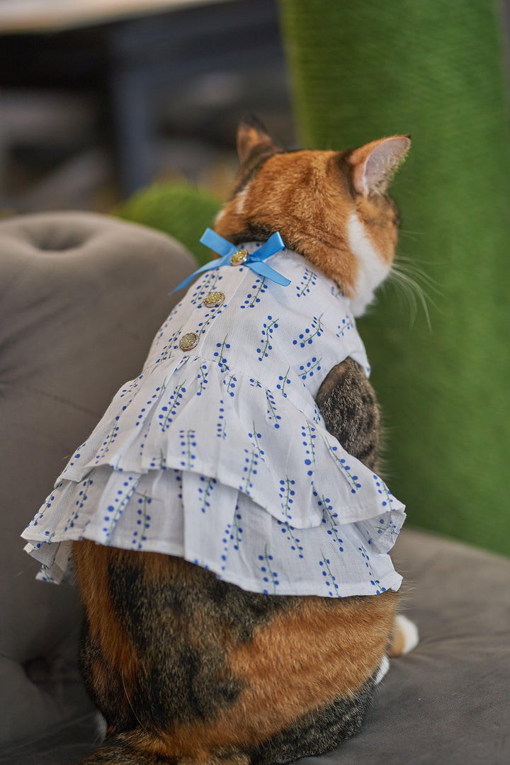LEIA OASIS BOW DRESS Blue