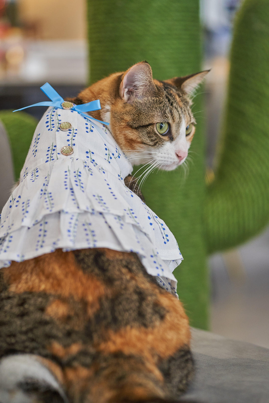 LEIA OASIS BOW DRESS Blue