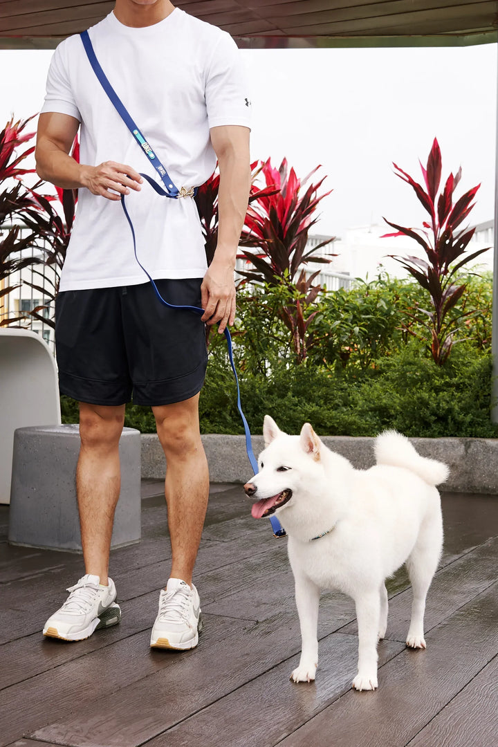 WATERPROOF LEASH Royal Blue