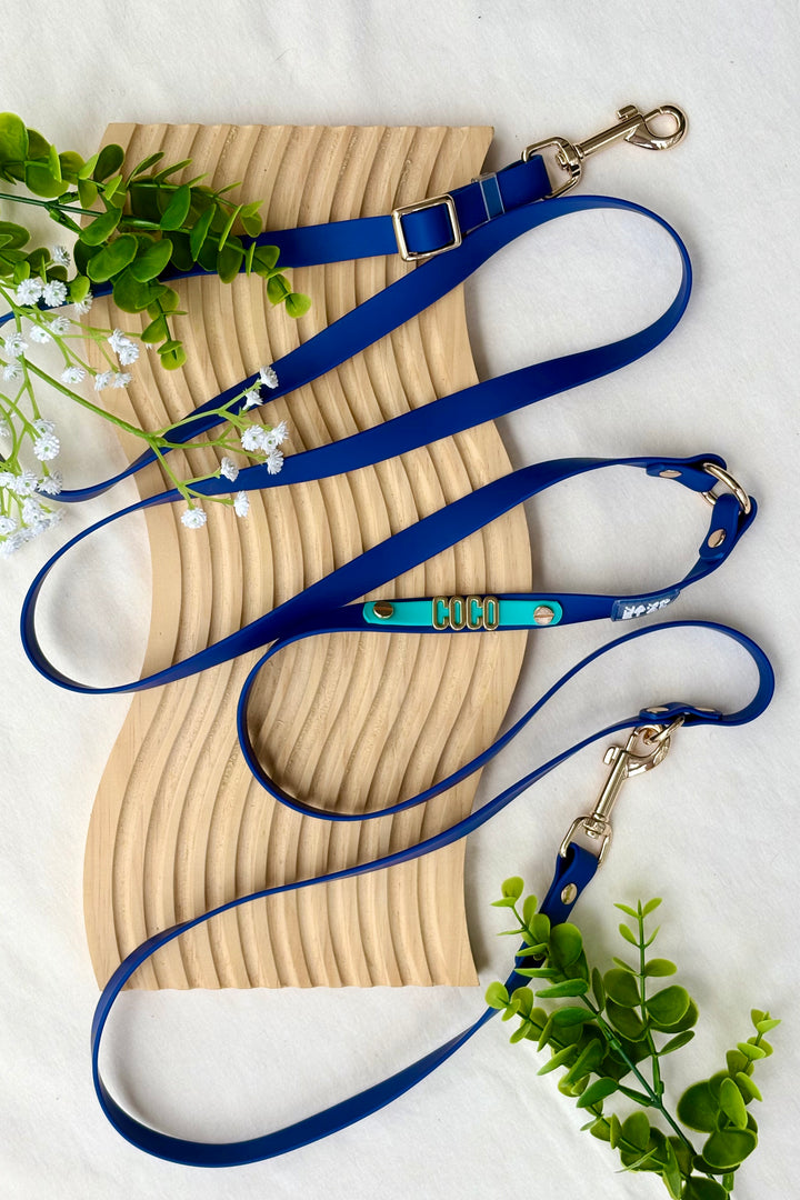 WATERPROOF LEASH Royal Blue / Tiffany