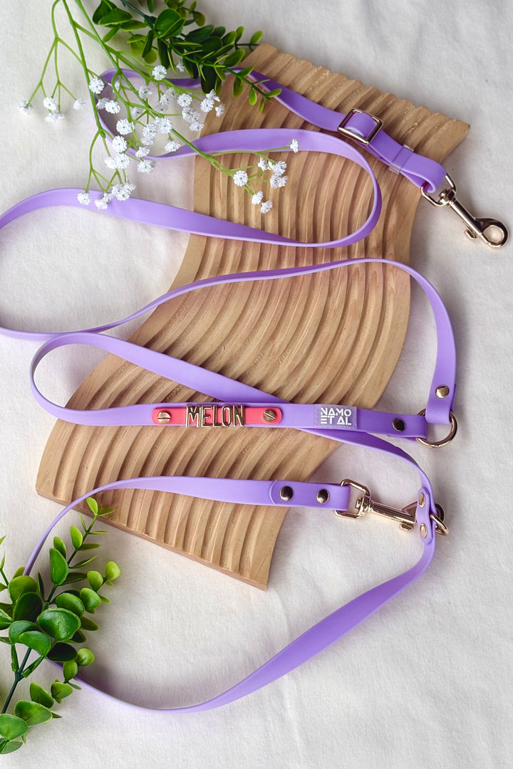 WATERPROOF LEASH Lilac / Coral
