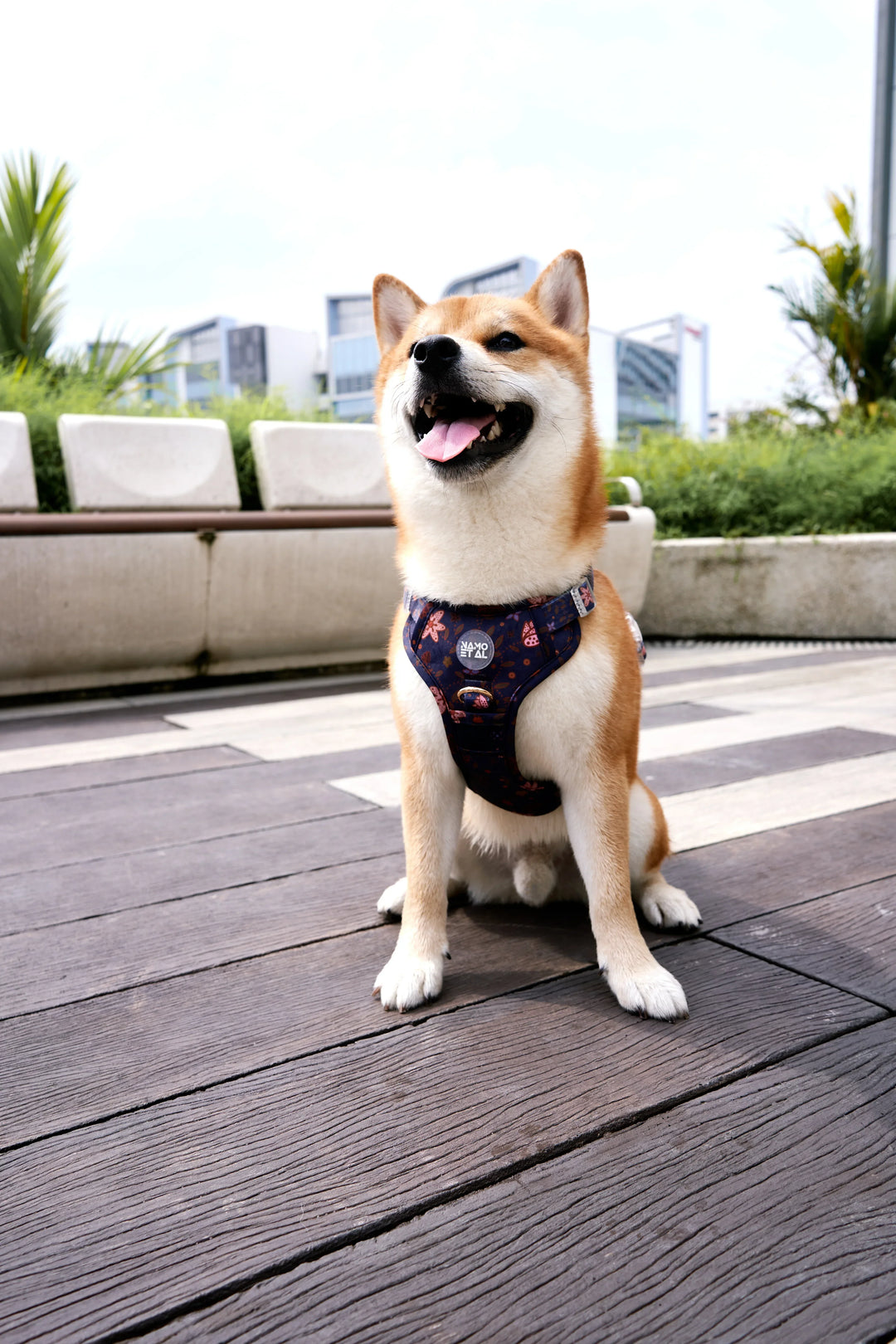 ADAPTIS HARNESS Pastel Batik