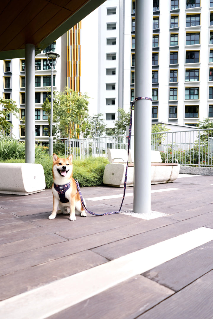 ADAPTIS LEASH Midnight Batik